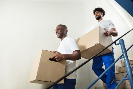 Removal-Services